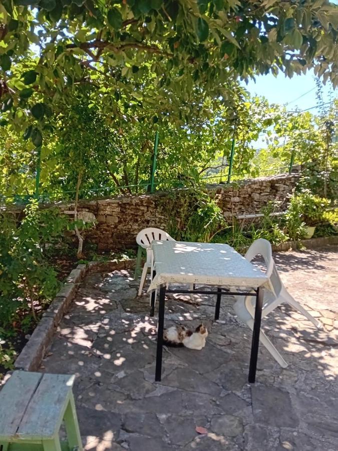 Stone Pazar Guest House Gjirokastër Exteriör bild